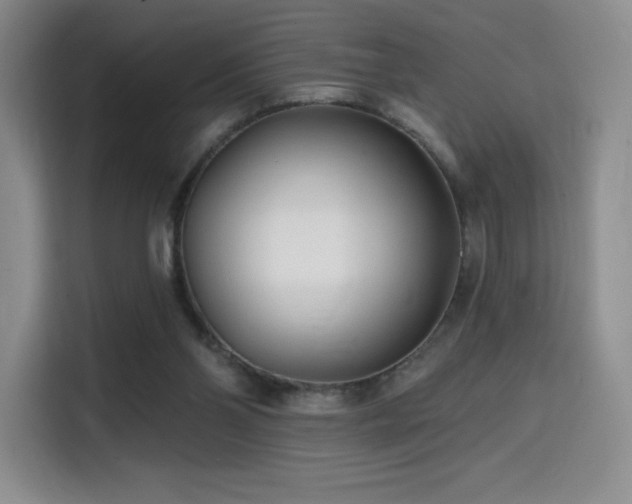 X0000114570110200910191511