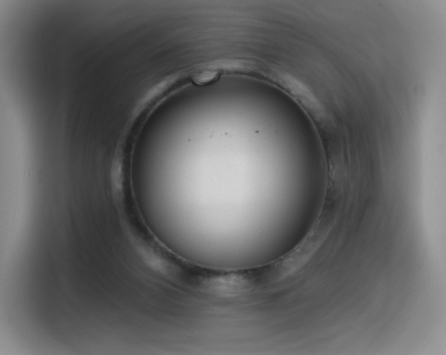 X0000114570112200910191511