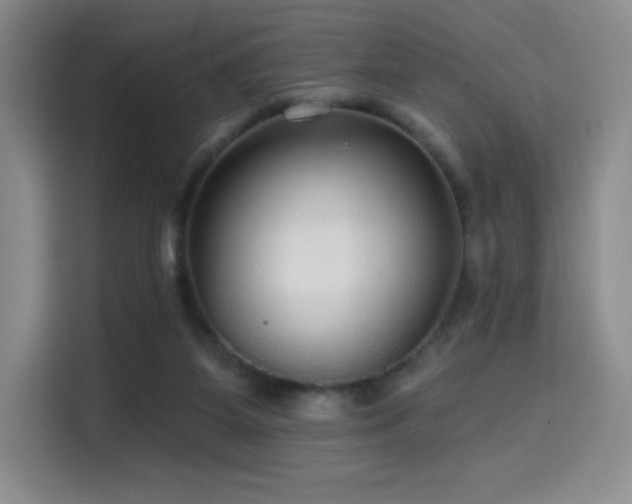 X0000114570115200910191511