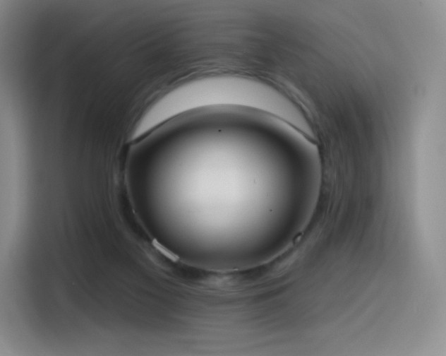 X0000114570117200910191511