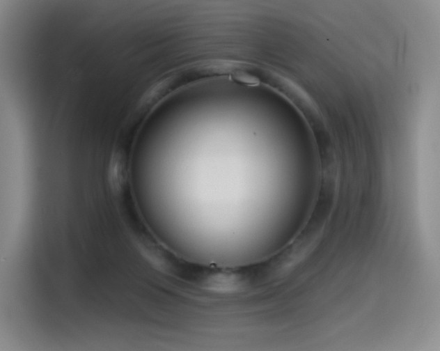 X0000114570119200910191511