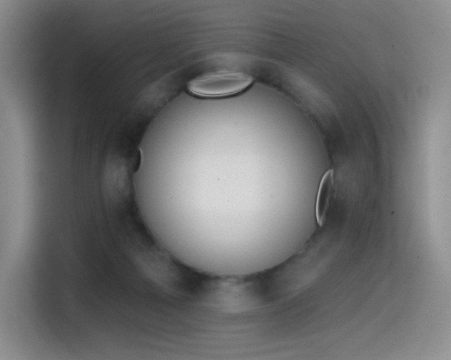 X0000114570121200910191511