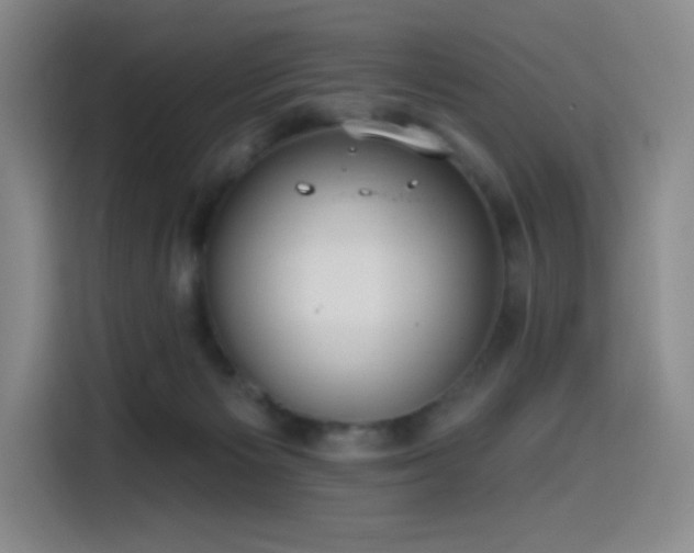 X0000114570125200910191511