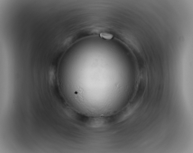 X0000114570127200910191511