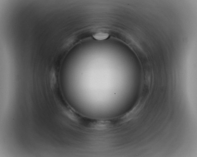 X0000114570128200910191511