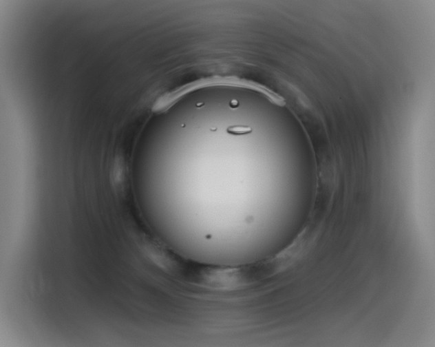 X0000114570132200910191511