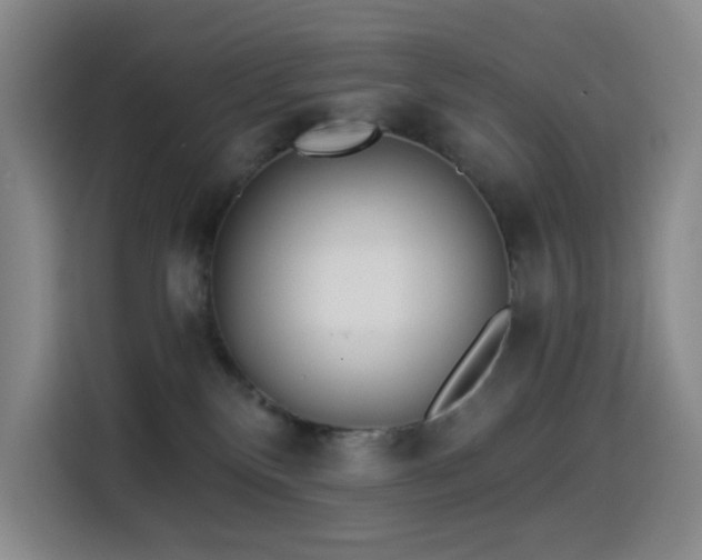 X0000114570136200910191511