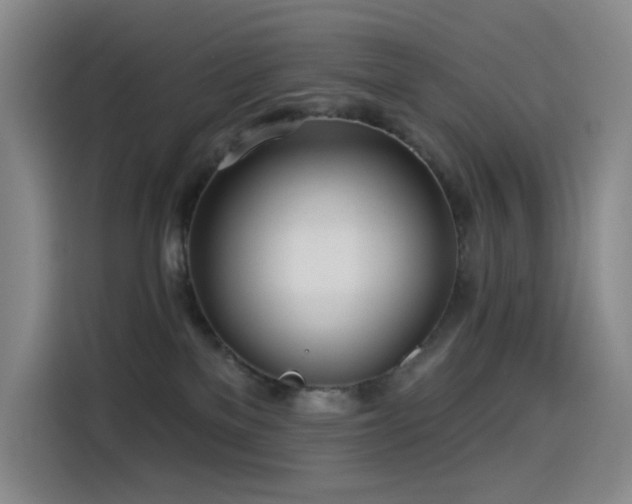 X0000114570137200910191511