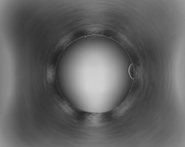 X0000114570138200910191511