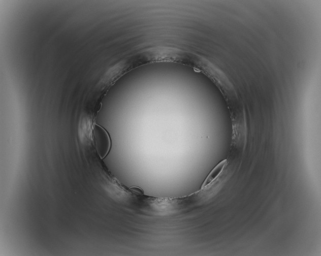 X0000114570142200910191511