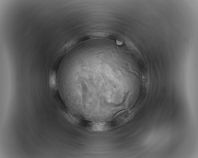 X0000114570143200910191511