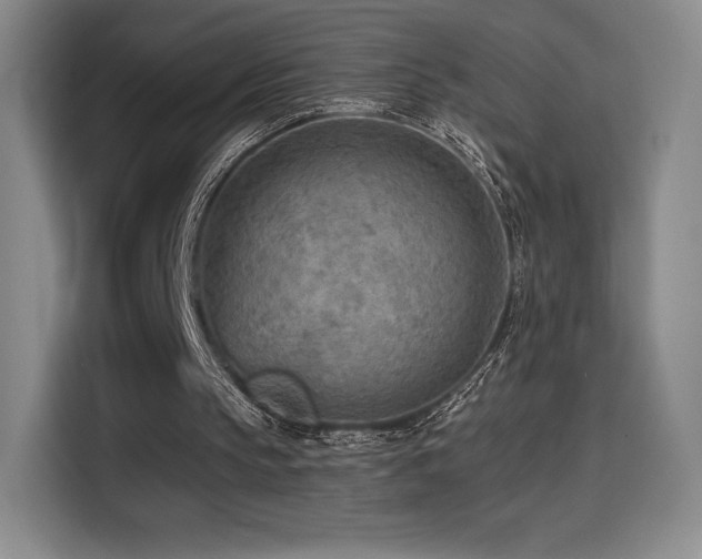 X0000114570145200910191510