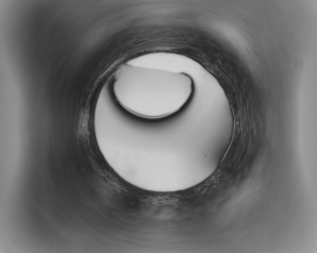 X0000114570146200910191510