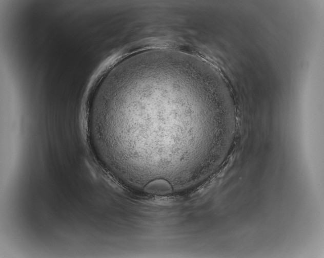 X0000114570149200910191510