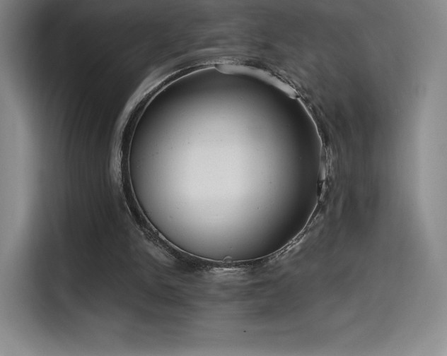 X0000114570150200910191510