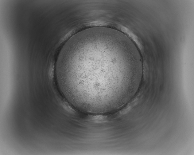 X0000114570153200910191510