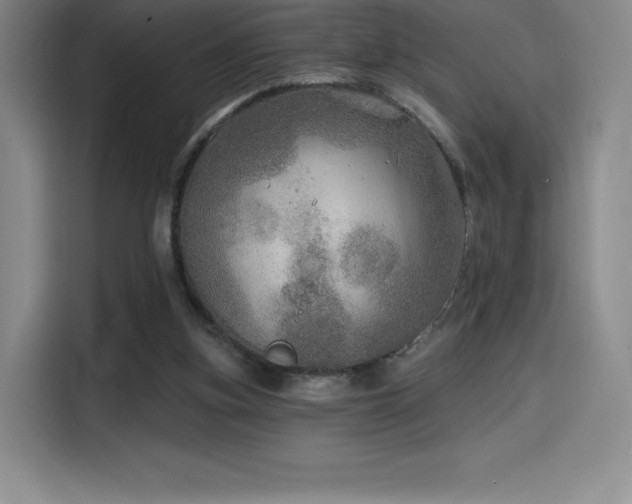 X0000114570155200910191510