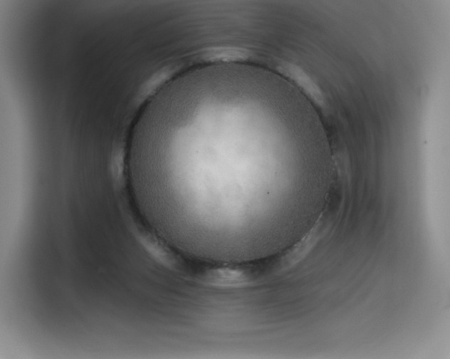 X0000114570159200910191510