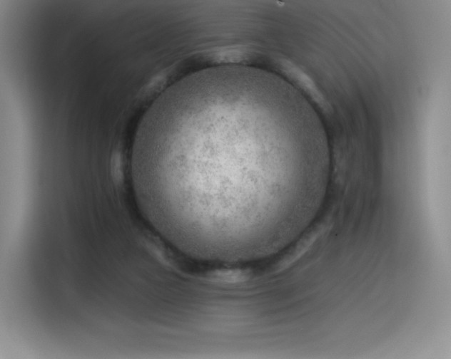 X0000114570161200910191510