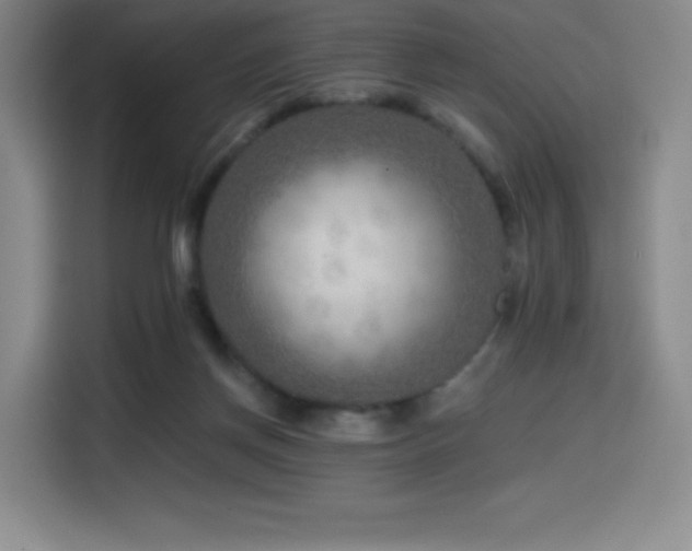 X0000114570166200910191510