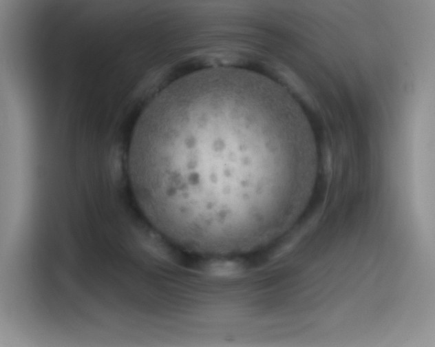 X0000114570169200910191510