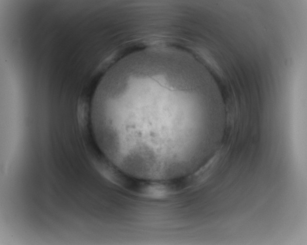 X0000114570171200910191510