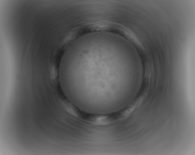 X0000114570173200910191510