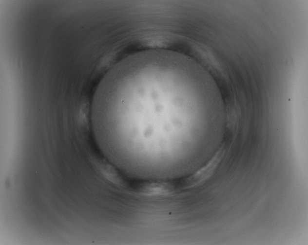 X0000114570175200910191510