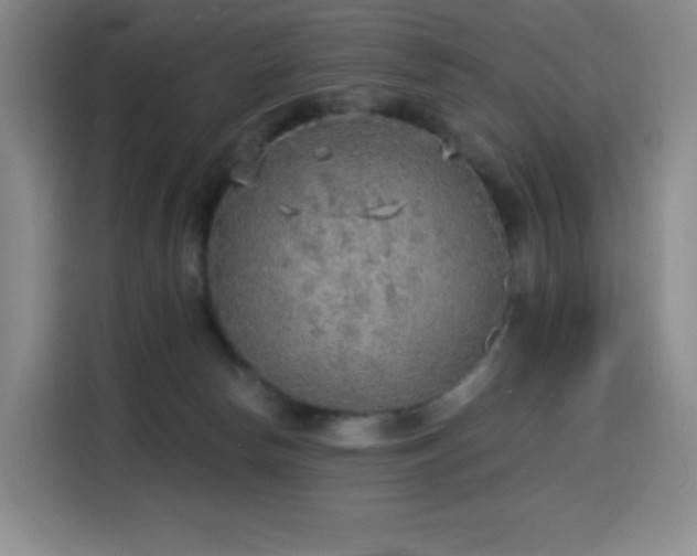 X0000114570178200910191510