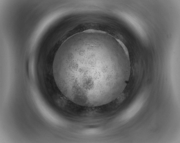 X0000114570189200910191510