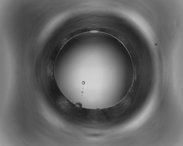 X0000114570190200910191510