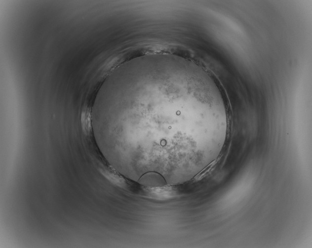 X0000114570191200910191510