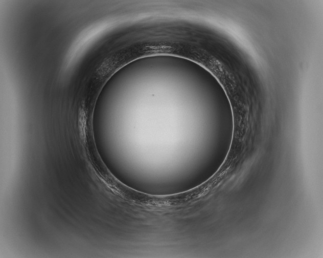 X0000114570194200910191510