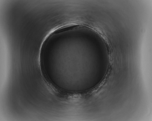 X0000114570196200910191510