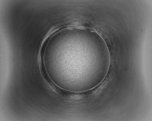 X0000114570198200910191510