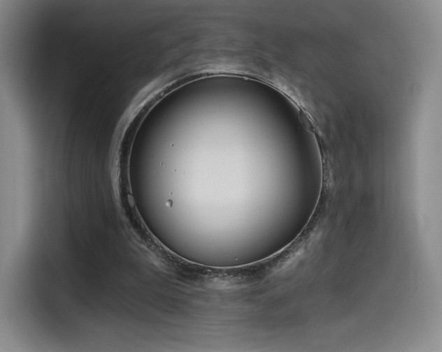 X0000114570199200910191510