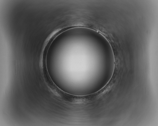 X0000114570200200910191510