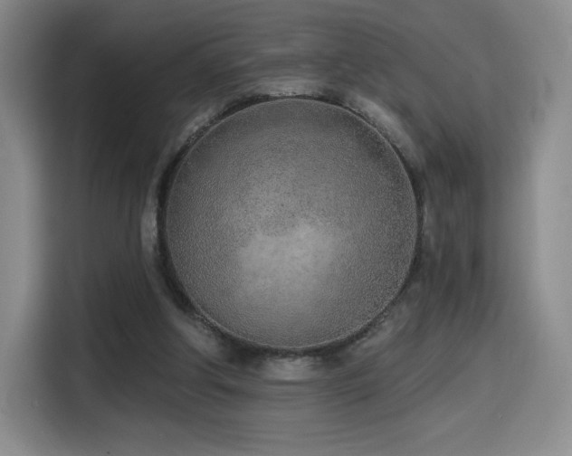 X0000114570202200910191510