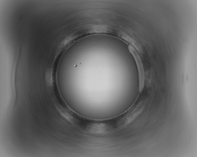 X0000114570203200910191510