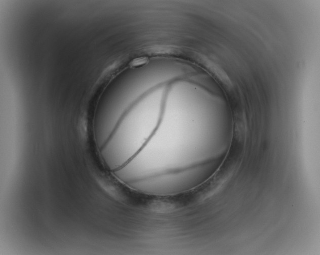 X0000114570207200910191510