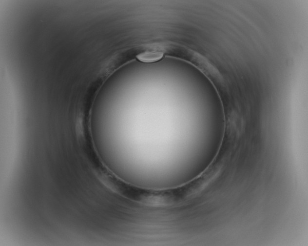 X0000114570209200910191510