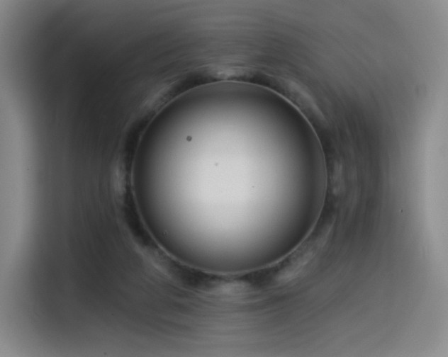 X0000114570210200910191510