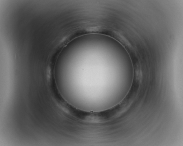 X0000114570211200910191510