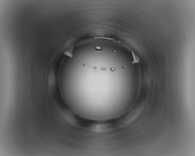 X0000114570220200910191510