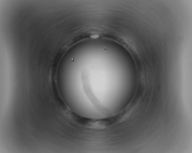 X0000114570221200910191509