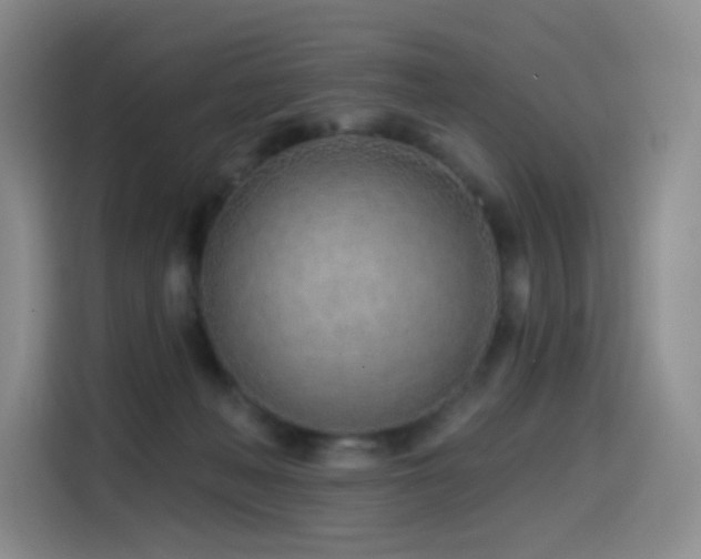 X0000114570222200910191509