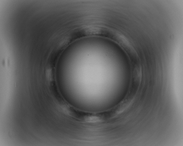 X0000114570224200910191509