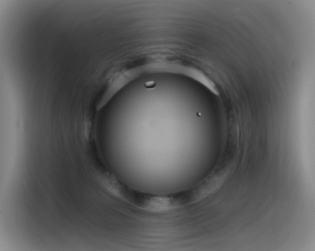 X0000114570227200910191509