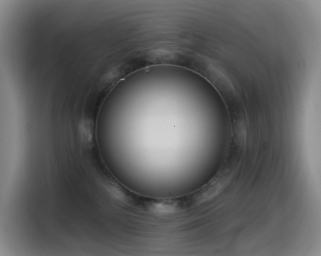 X0000114570232200910191509