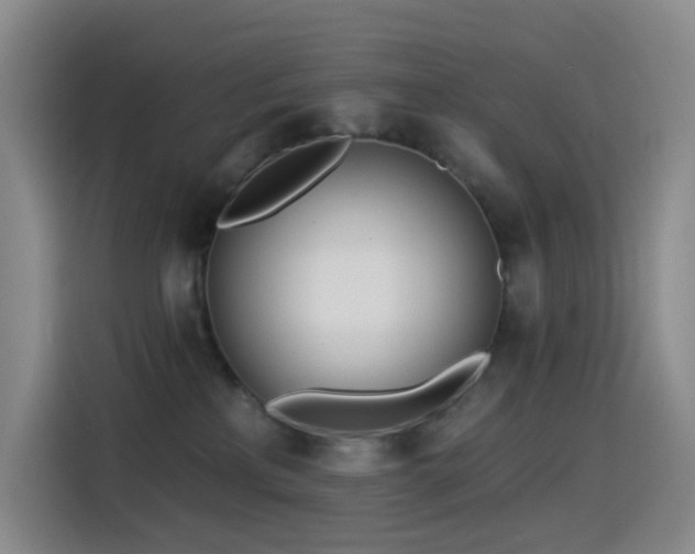 X0000114570233200910191509